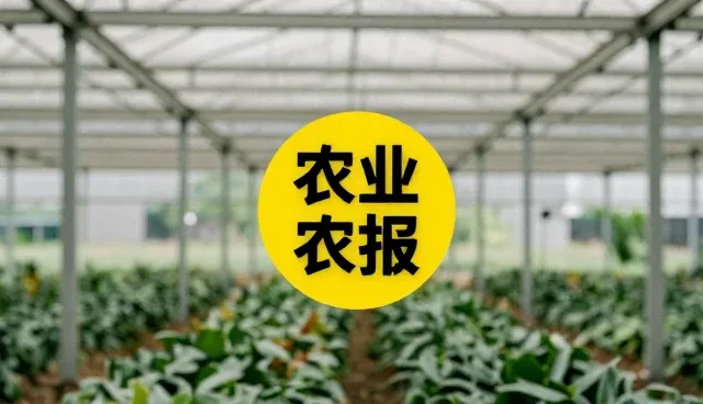 视频创意:广告视频制作的选型关注点分析